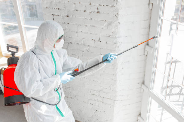 Katy, TX Mold Removal Company