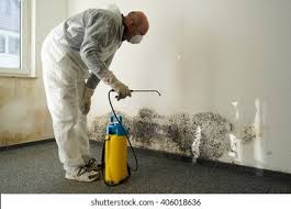 Best Asbestos and Lead Testing During Mold Inspection in Katy, TX